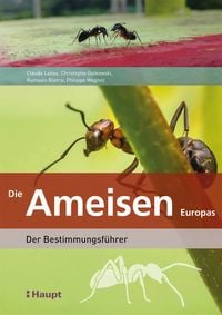 Produktbild: Die Ameisen Europas