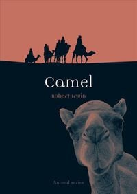 Produktbild: Camel
