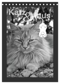 Produktbild: Katz & Maus (Tischkalender 2027 DIN A5 hoch), CALVENDO Monatskalender