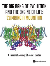 Produktbild: BIG BANG OF EVOLUTION AND THE ENGINE OF LIFE
