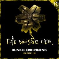 Produktbild: 12: Dunkle Erkenntnis - Kapitel III