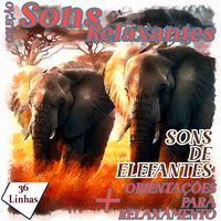 Produktbild: Cole&ccedil;&atilde;o Sons Relaxantes - Sons de Elefantes