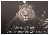 Produktbild: African Souls African animals with soul (Wall Calendar 2026 DIN A4 landscape), CALVENDO 12 Month Wall Calendar