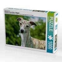 Produktbild: CALVENDO Puzzle Ein Motiv aus dem Kalender Schnell wie der Wind - Whippet | 1000 Teile Lege-Gr&ouml;&szlig;e 64x48cm Foto-Puzzle f&uuml;r gl&uuml;ckliche Stunden