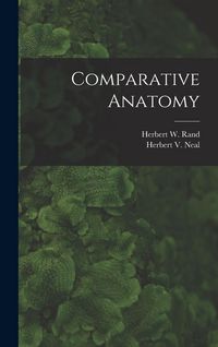 Produktbild: Comparative Anatomy