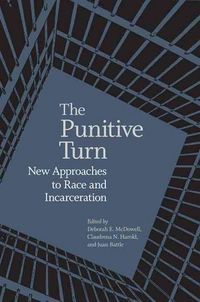 Produktbild: Punitive Turn