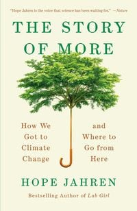 Produktbild: The Story of More