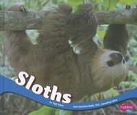 Produktbild: Sloths