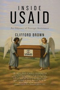 Produktbild: Inside Usaid