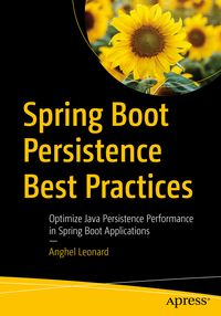 Produktbild: Spring Boot Persistence Best Practices