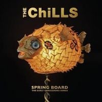 Produktbild: Spring Board: The Early Unrecorded Songs