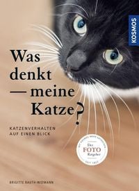 Produktbild: Was denkt meine Katze