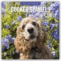 Produktbild: Cocker Spaniels &ndash; Cocker Spaniel 2027 &ndash; 16-Monatskalender