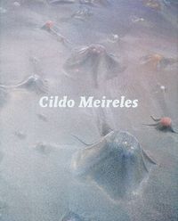 Produktbild: Cildo Meireles