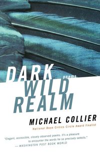 Produktbild: Dark Wild Realm