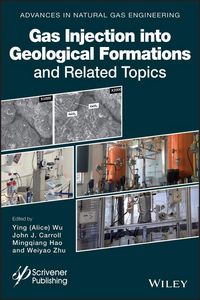 Produktbild: Gas Injection into Geological Formations and Related Topics