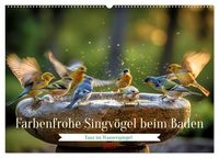 Produktbild: Farbenfrohe Singv&ouml;gel beim Baden (Wandkalender 2027 DIN A2 quer), CALVENDO Monatskalender