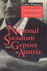 Produktbild: National Socialism and Gypsies in Austria