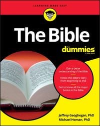 Produktbild: The Bible For Dummies