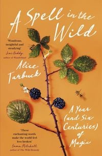 Produktbild: A Spell in the Wild