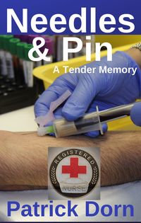Produktbild: Needles & Pin: A Tender Memory