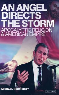 Produktbild: Angel Directs The Storm