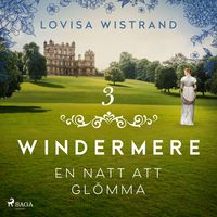 Produktbild: En natt att gl&ouml;mma