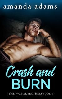 Produktbild: Crash and Burn