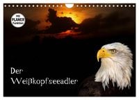 Produktbild: Der Wei&szlig;kopfseeadler (Wandkalender 2026 DIN A4 quer), CALVENDO Monatskalender