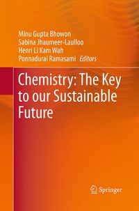 Produktbild: Chemistry: The Key to our Sustainable Future