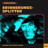 Produktbild: Erinnerungssplitter