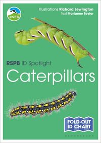 Produktbild: RSPB ID Spotlight - Caterpillars