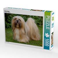 Produktbild: CALVENDO Puzzle Lhasa Apsu | 1000 Teile Lege-Gr&ouml;&szlig;e 64x48cm Foto-Puzzle f&uuml;r gl&uuml;ckliche Stunden