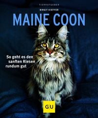 Produktbild Maine Coon