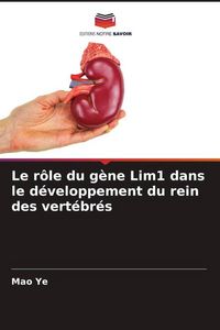 Produktbild: Le r&ocirc;le du g&egrave;ne Lim1 dans le d&eacute;veloppement du rein des vert&eacute;br&eacute;s