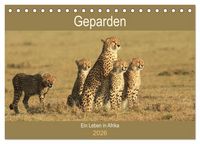 Produktbild: Geparden - Ein Leben in Afrika (Tischkalender 2026 DIN A5 quer), CALVENDO Monatskalender
