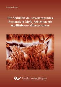 Produktbild: Die Stabilit&auml;t des stromtragenden Zustands in MgB2 Schichten mit modifizierter Mikrostruktur