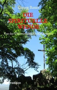 Produktbild: Die spirituelle Wende