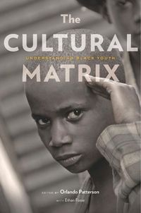 Produktbild: The Cultural Matrix