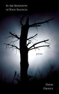 Produktbild: In the Silhouette of Your Silences