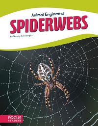 Produktbild: Spiderwebs