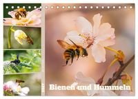 Produktbild: Bienen und Hummeln in Aktion (Tischkalender 2027 DIN A5 quer), CALVENDO Monatskalender