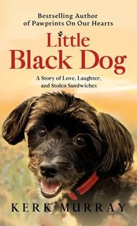 Produktbild: Little Black Dog