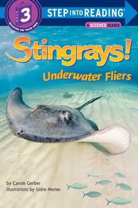 Produktbild: Stingrays! Underwater Fliers