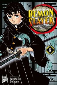 Produktbild: Demon Slayer 12