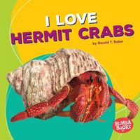 Produktbild: I Love Hermit Crabs