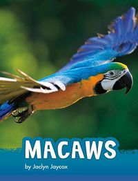 Produktbild: Macaws