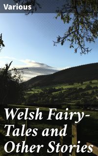 Produktbild: Welsh Fairy-Tales and Other Stories