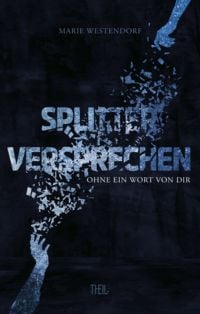 Produktbild: Splitterversprechen