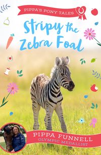 Produktbild: Stripy the Zebra Foal